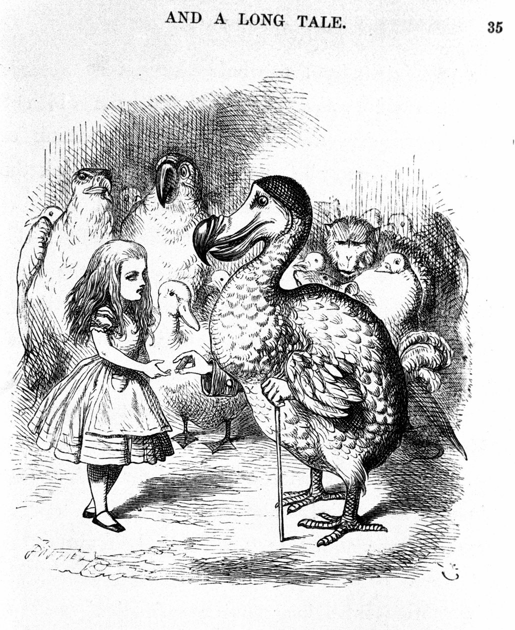 Liisa Ihmemaassa: Liisa tapaaminen Dodon kanssa, Lewis Carroll, kuvitus Tennielin ensimmäisestä painoksesta tekijältä John Tenniel