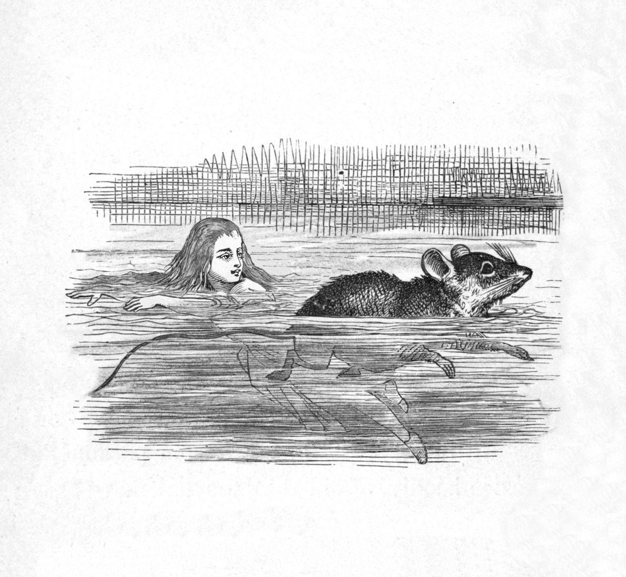 Liisa uimassa hiiren kanssa altaassa, 1889 tekijältä John Tenniel