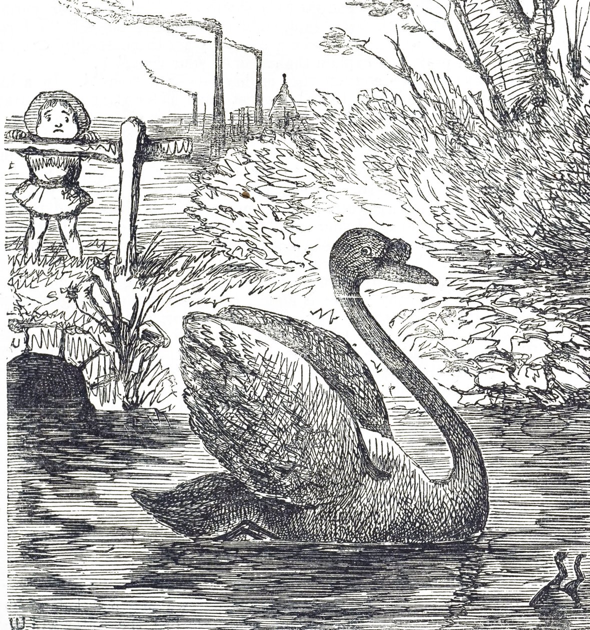 Sarjakuva kommentoi Thames-joen saastumista Lontoossa tekijältä John Tenniel