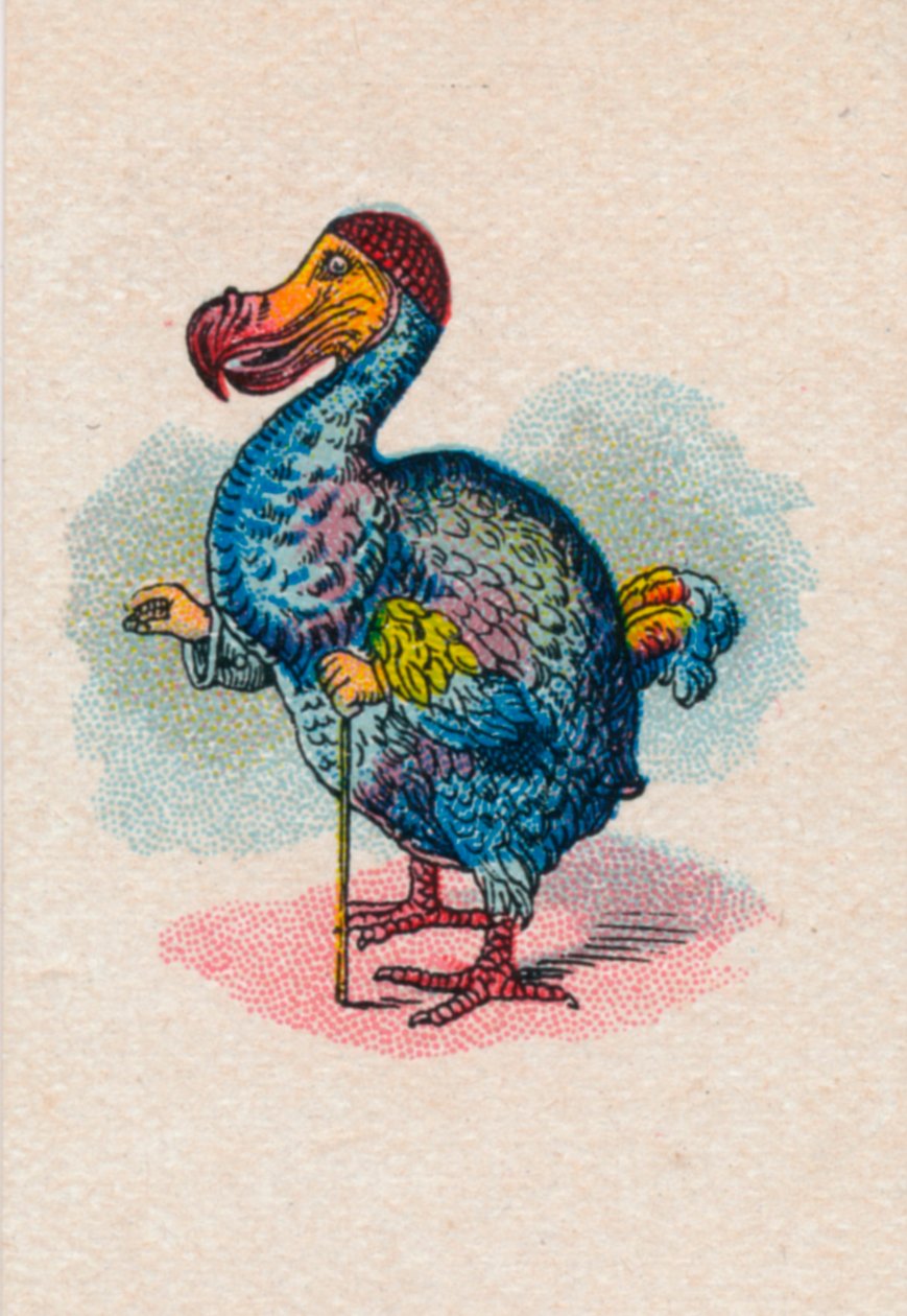 Dodo, 1930 tekijältä John Tenniel