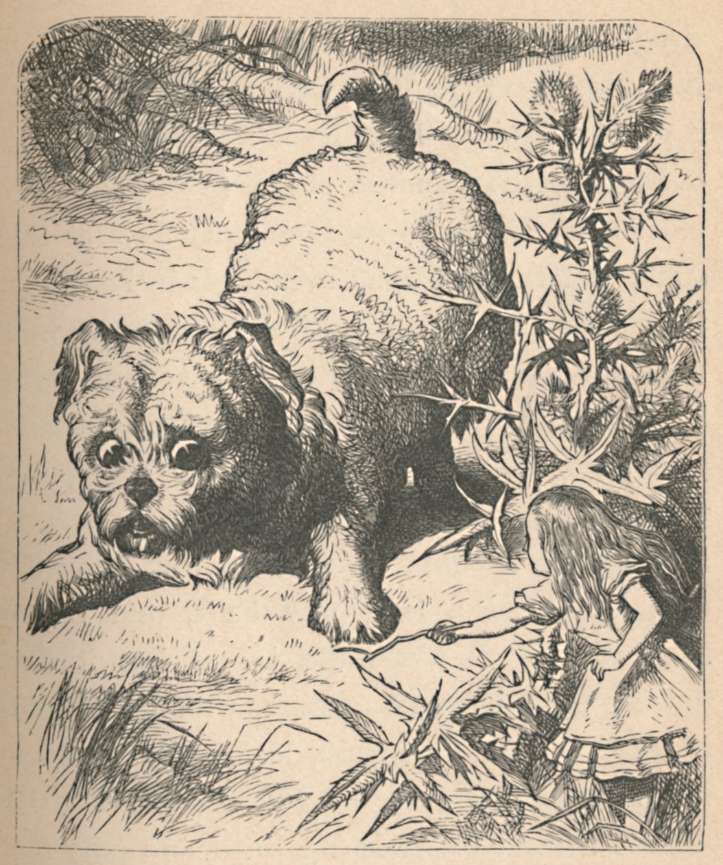 Jättiläinen pentu, 1889 tekijältä John Tenniel