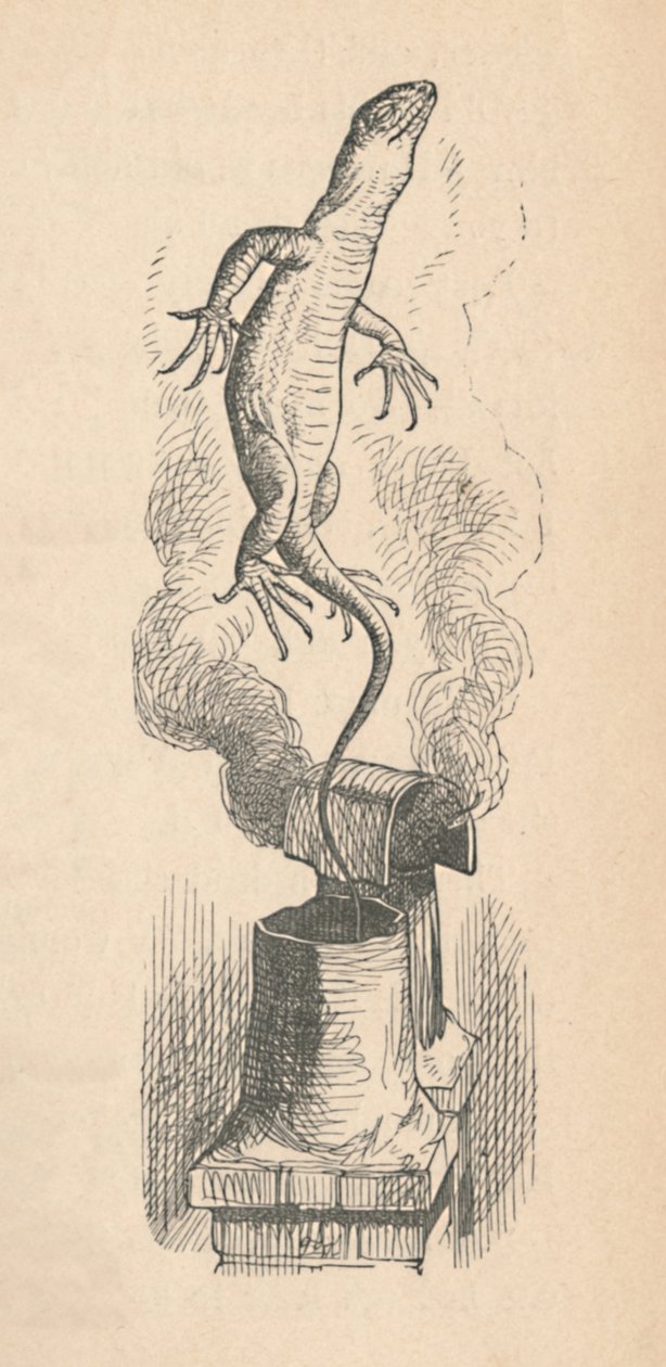 Lisko, 1889 tekijältä John Tenniel