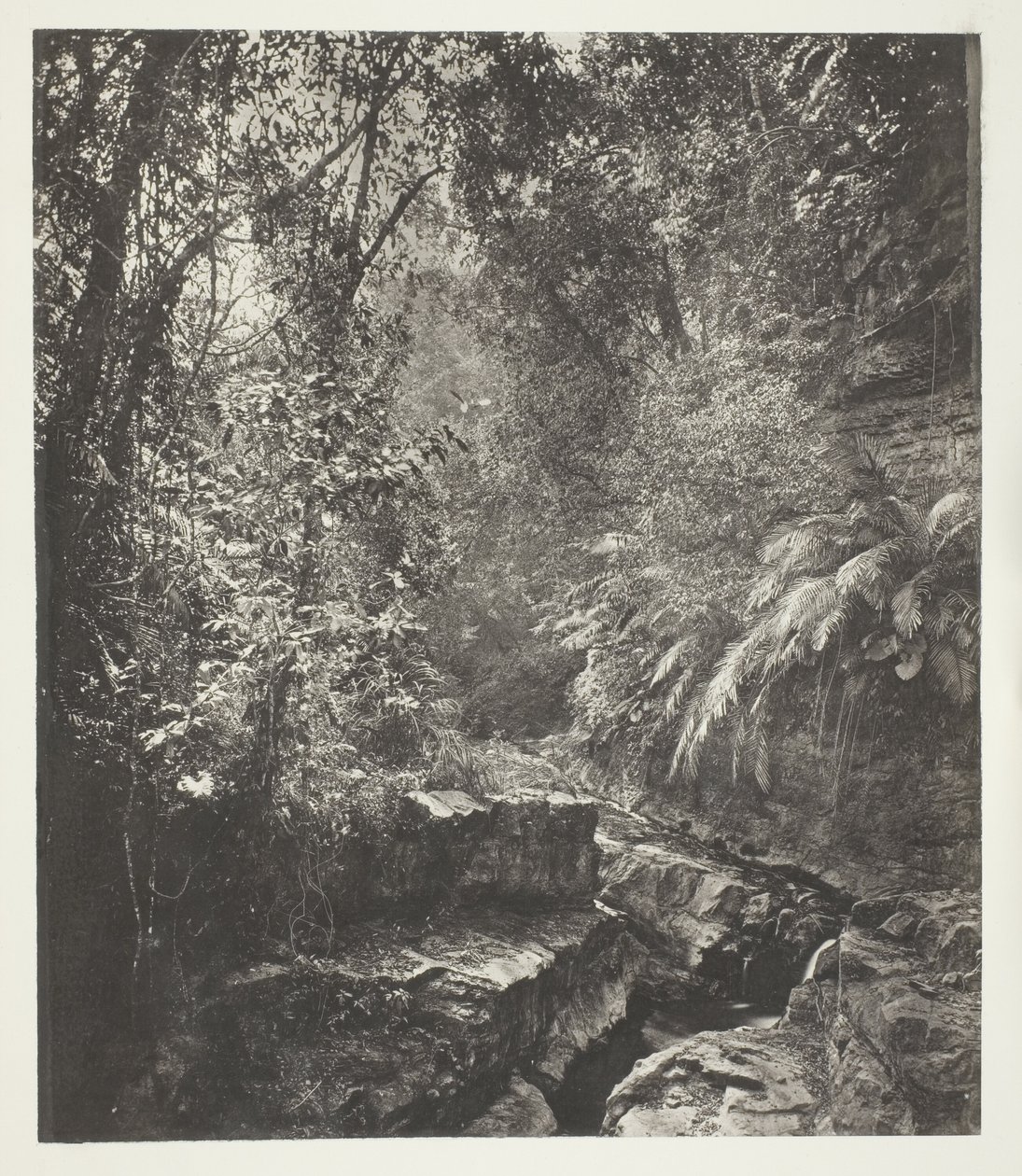 Formosan vuoristosola tekijältä John Thomson