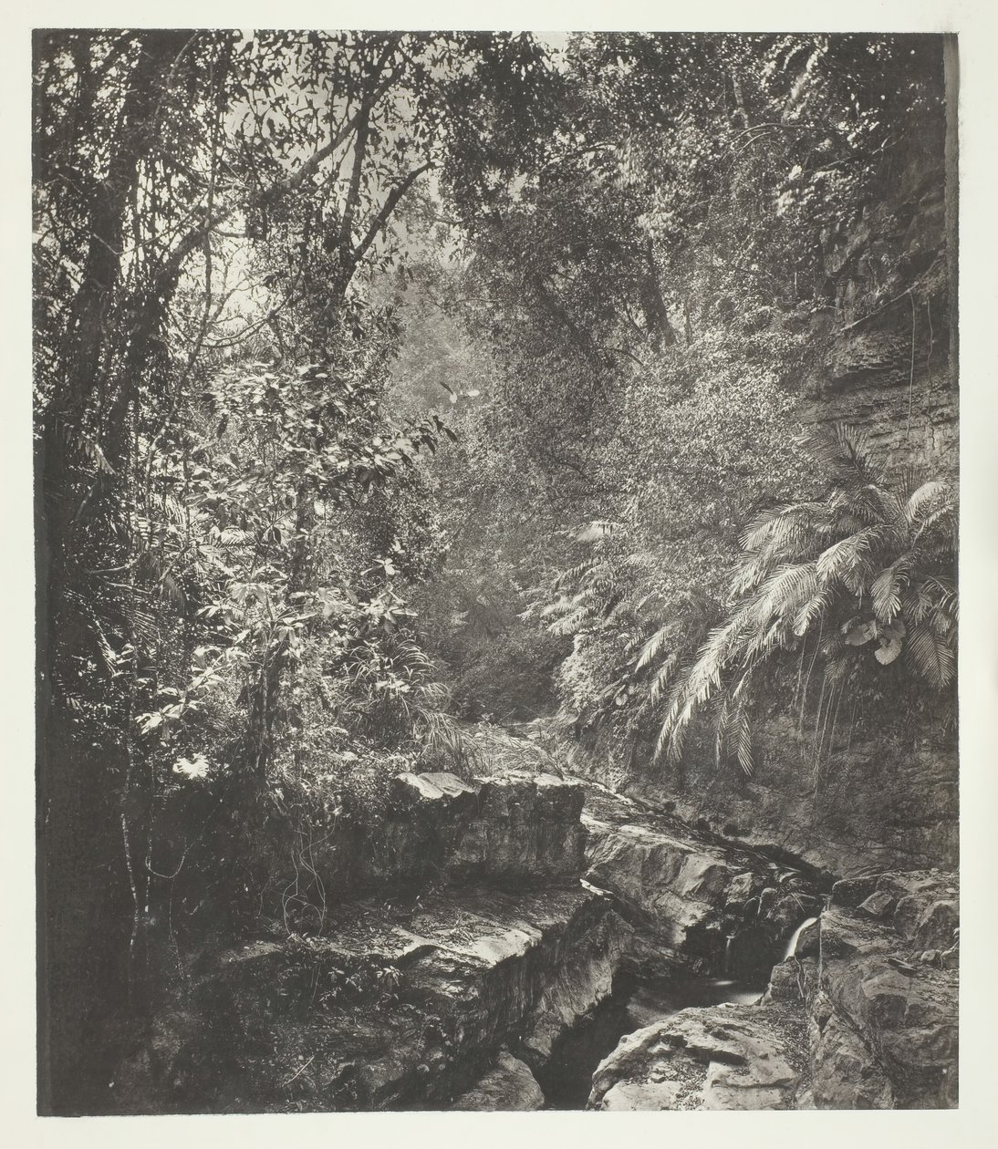 Vuoristosola Formosassa, n. 1868. tekijältä John Thomson