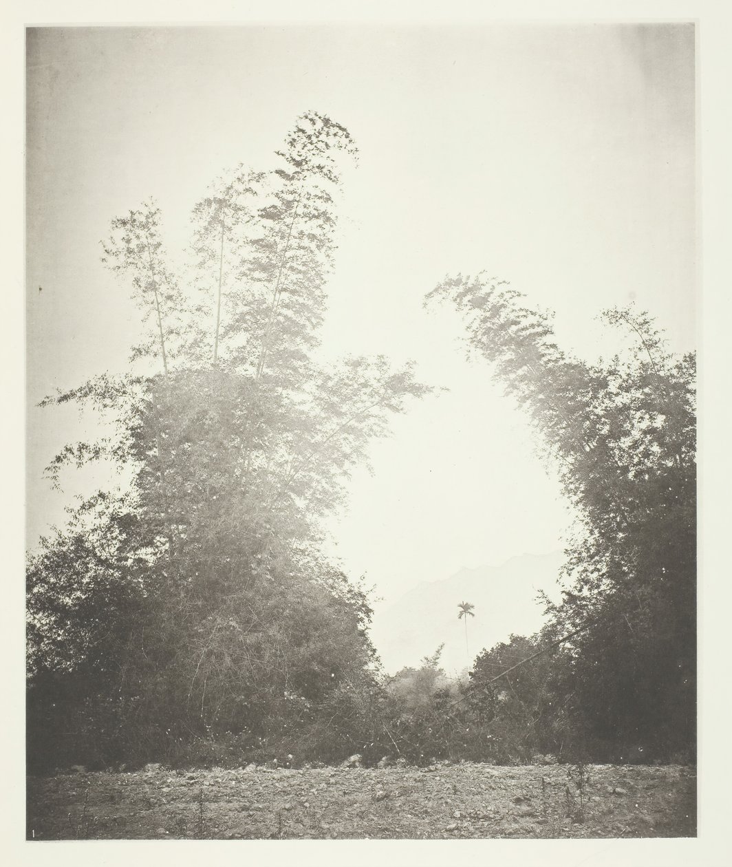 Bambot ja Baska, Formosa, c. 1868. tekijältä John Thomson