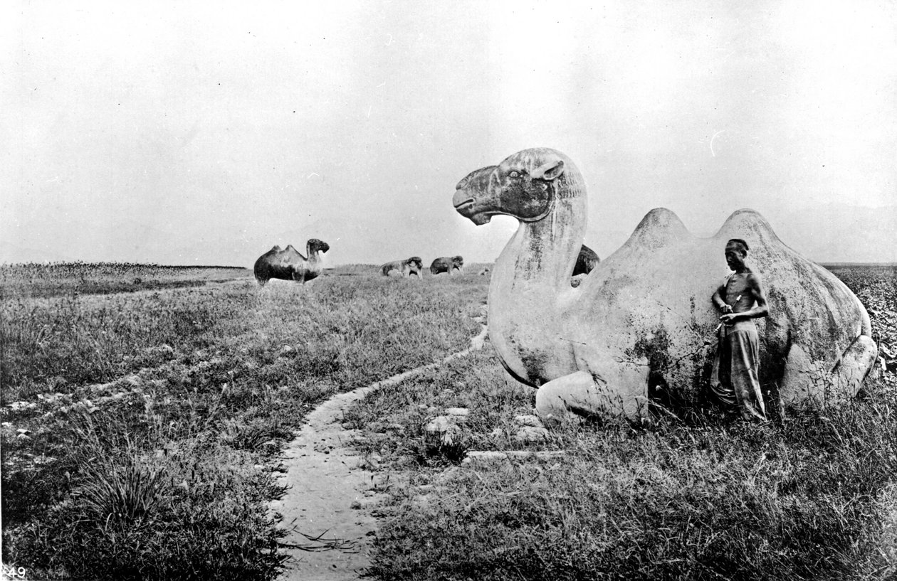 Kiina, keisarillisen tien kaiverretut kamelit, n. 1870 (kuva) tekijältä John Thomson