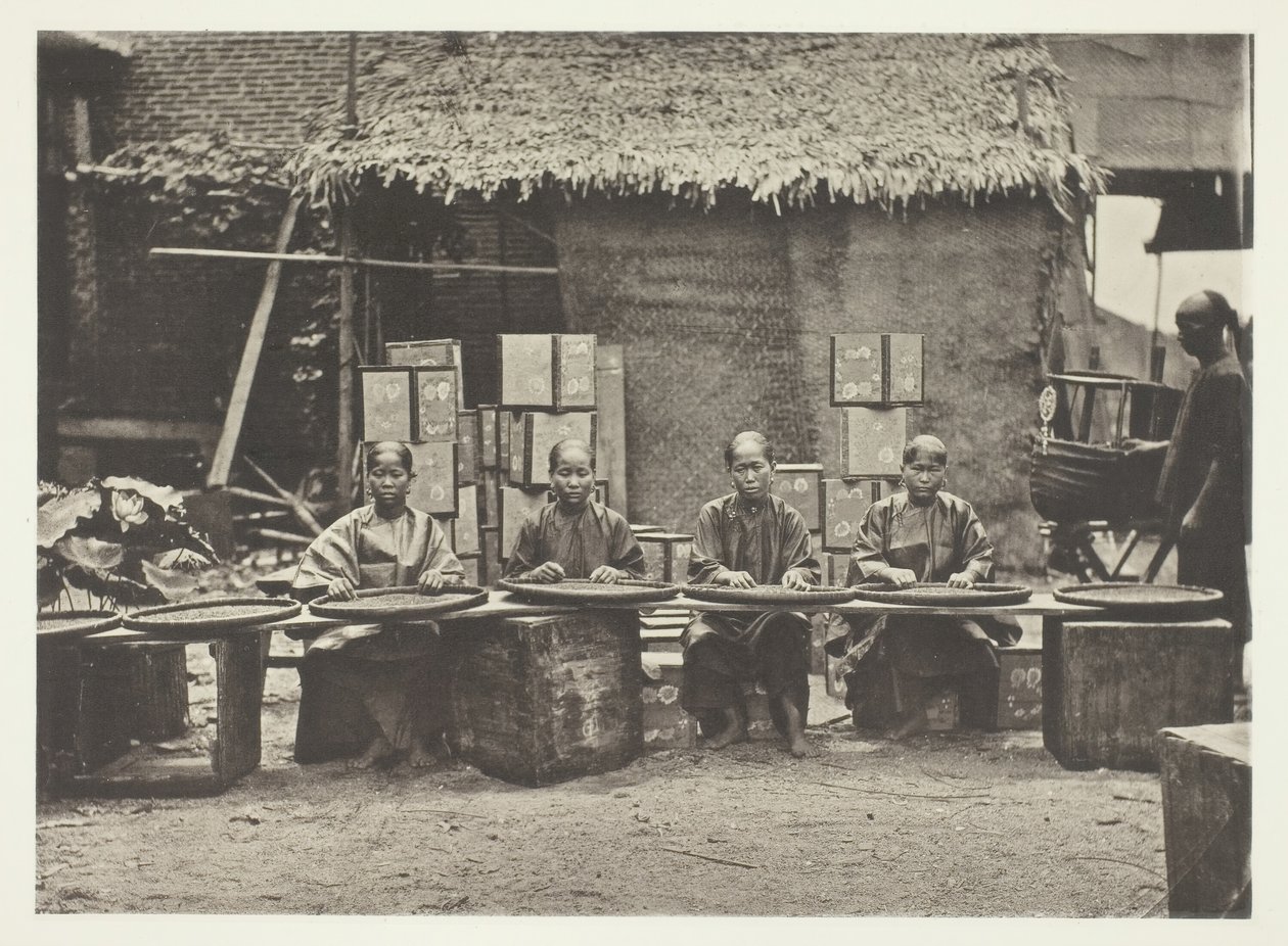 Teenpoiminta Kantonissa, n. 1868. tekijältä John Thomson