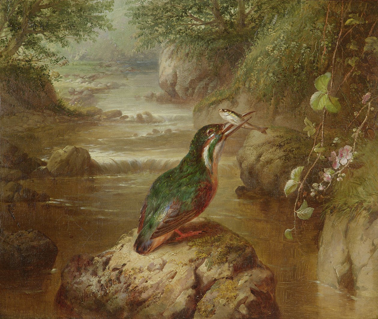 Kingfisherin kummitus tekijältä John Wainwright