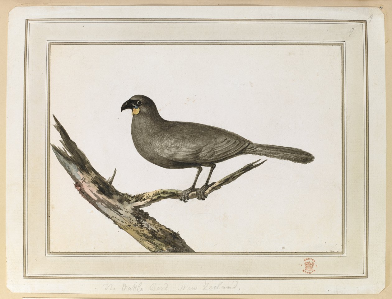 Piirustus Wattle linnusta; tehtiin Uuden-Seelannin vierailun aikana 12.-25. helmikuuta 1777 kapteeni Cookin kolmannella matkalla. tekijältä John Webber