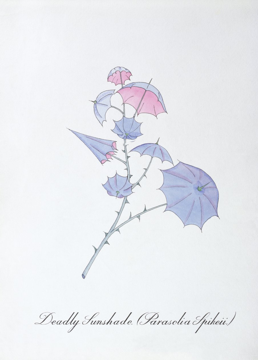 Deadly Sunshade (Parasolia Spikeii.), kuvitus John Weirin teoksesta The Bogus Book of Botany tekijältä John Weir