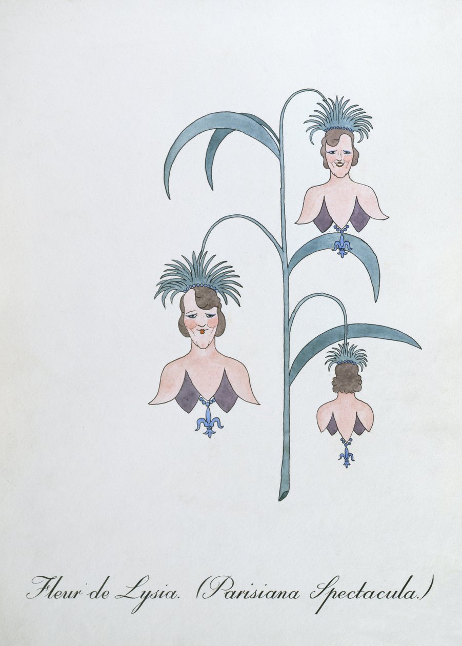 Fleur de Lysia (Parisiana Spectacula.), kuvitus John Weirin teoksesta "The Bogus Book of Botany" tekijältä John Weir