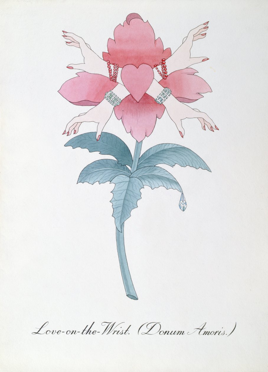 Rakkaus ranteessa (Donum Amoris.) kuvitus John Weirin teoksesta The Bogus Book of Botany tekijältä John Weir