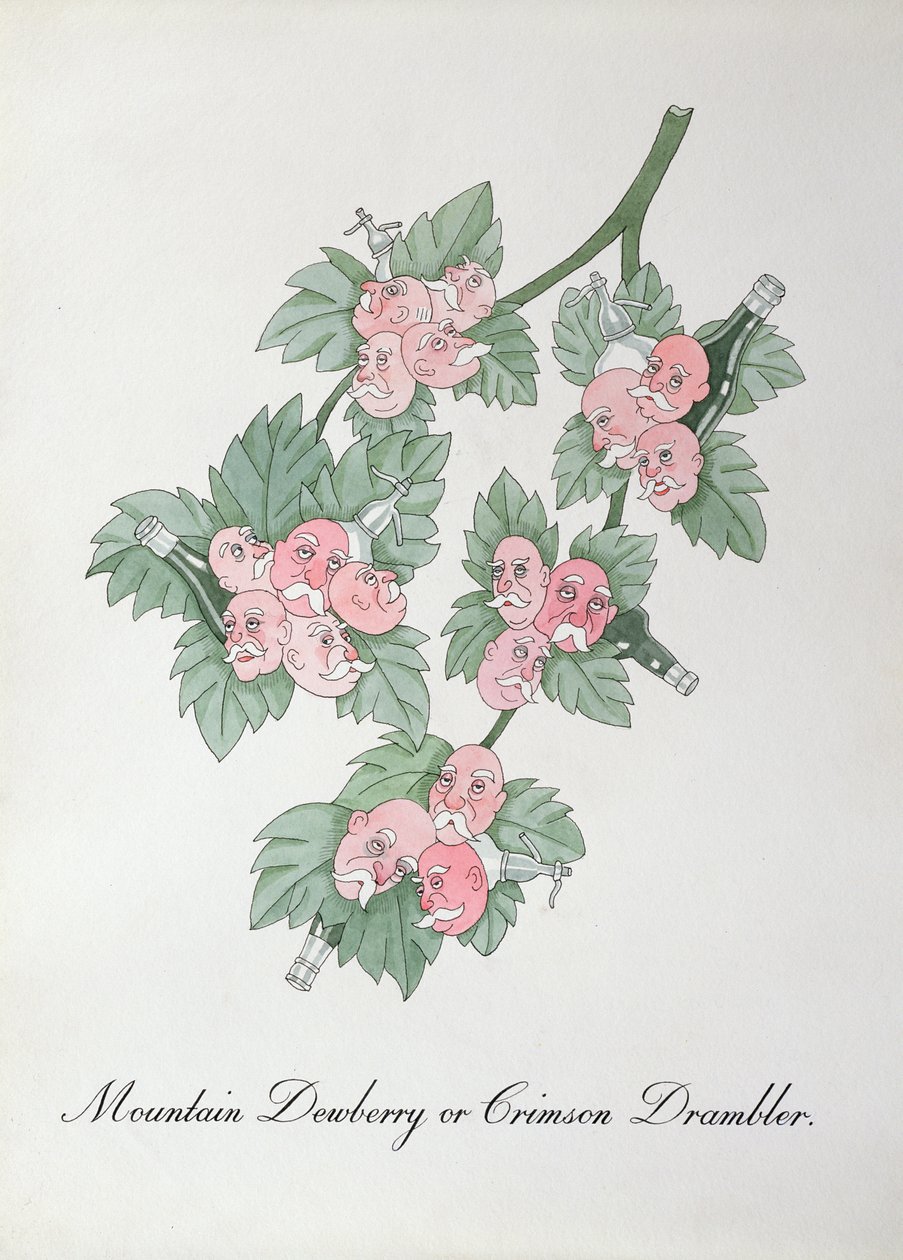 Mountain Dewberry tai Crimson Drambler, kuvitus John Weirin teoksesta The Bogus Book of Botany tekijältä John Weir