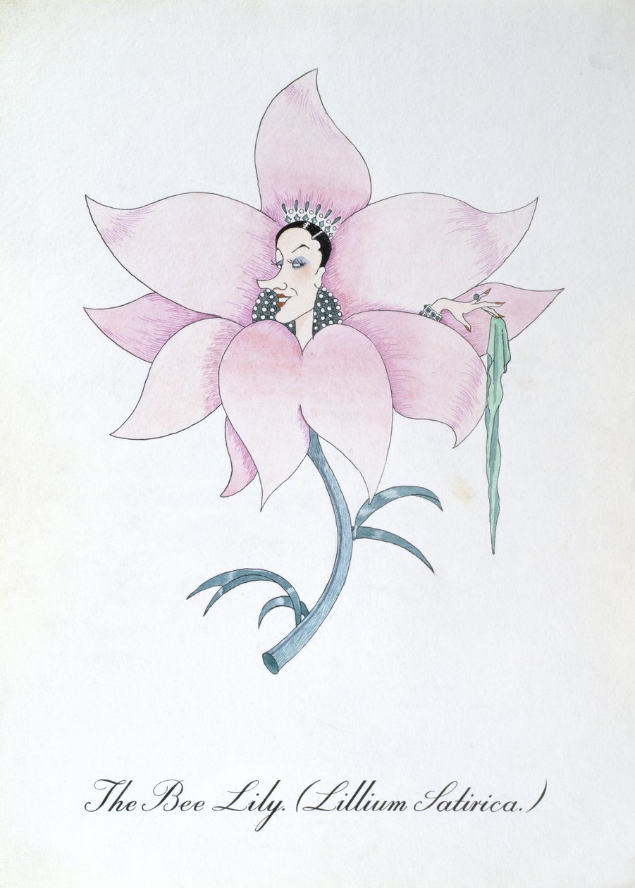 The Bee Lily (Lilium Satirical.), kuvitus John Weirin teoksesta "The Bogus Book of Botany" tekijältä John Weir