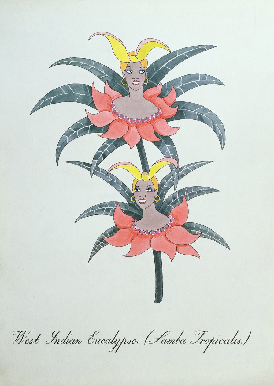 Länsi-Intian eukalypso (Samba Tropicalis.), kuvitus John Weirin teoksesta "The Bogus Book of Botany" tekijältä John Weir