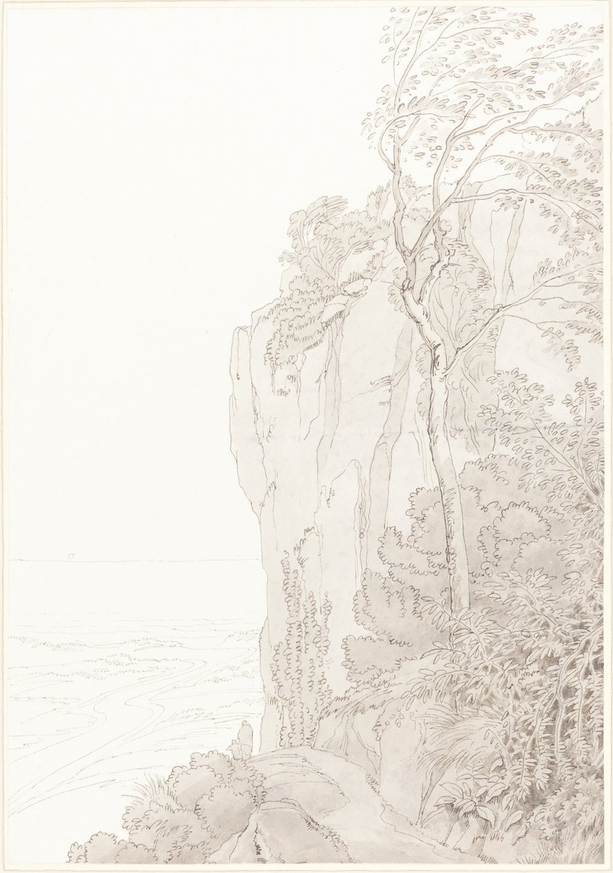 Sheer Cliffs yläpuolella Coastal Road tekijältä John White Abbott