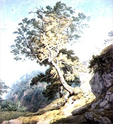 Näkymä lähellä Canonteignia, Devon tekijältä John White Abbott