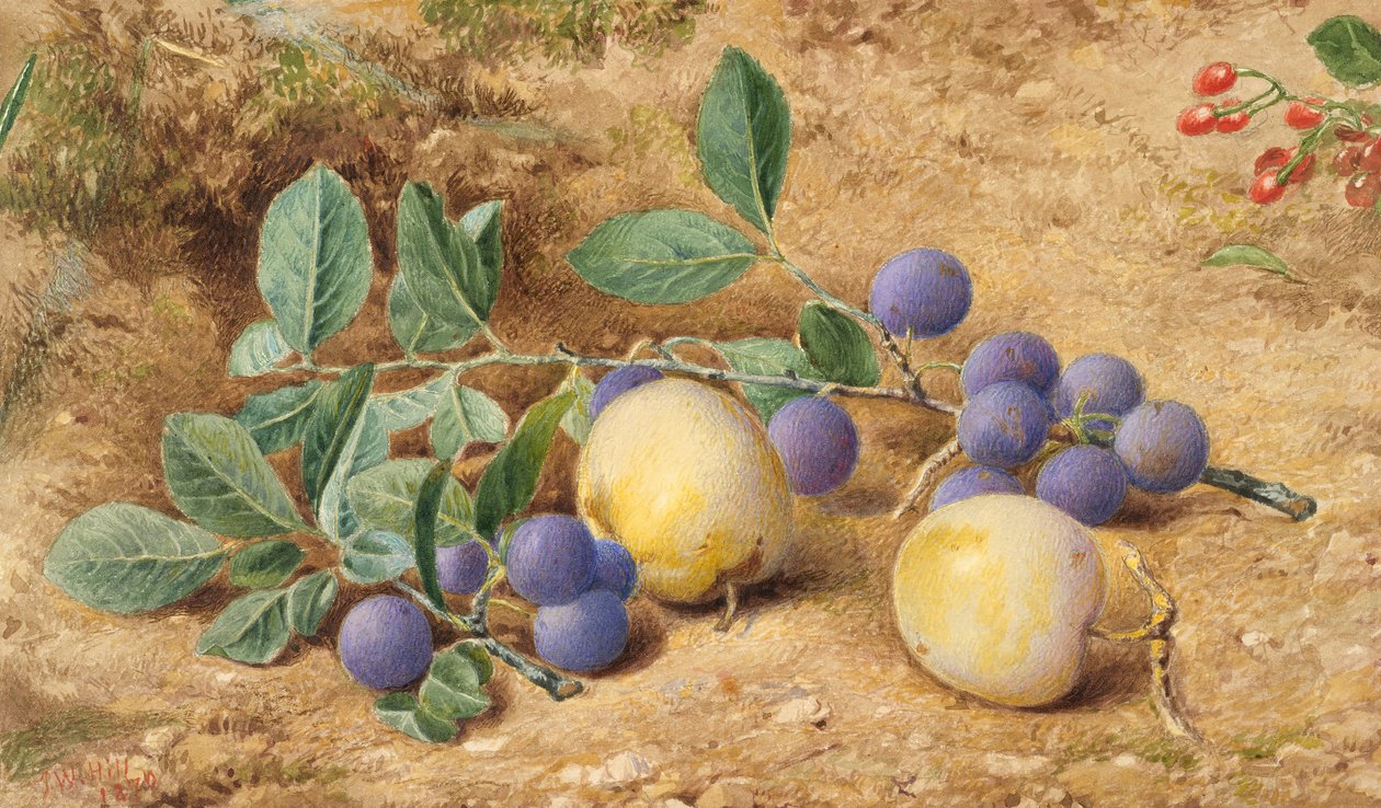 Luumut, 1870. tekijältä John William Hill