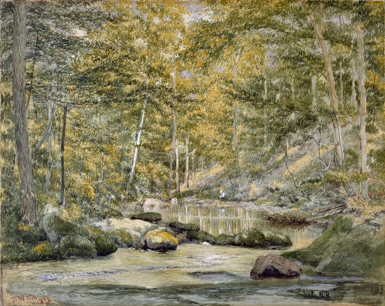 Woodland Pool ja Miesten kalastus, 1870 (wc paperilla) tekijältä John William Hill