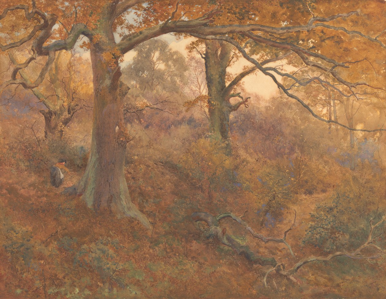 Metsän maisema tekijältä John William North