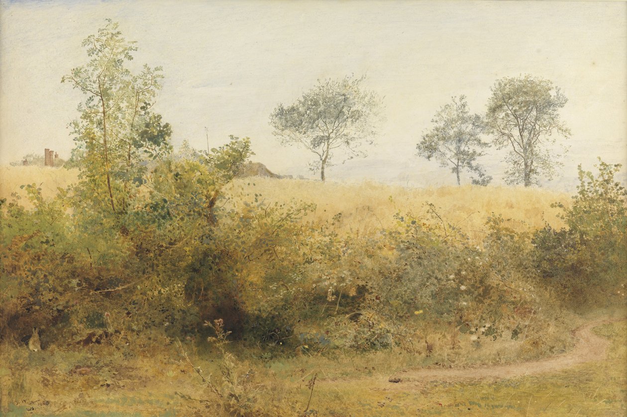 Lepakko alkaa huimalla siivellä - ohrapelto pensasaidan takana, 1885 (wc & lyijykynä ja raaputus paperille) tekijältä John William North
