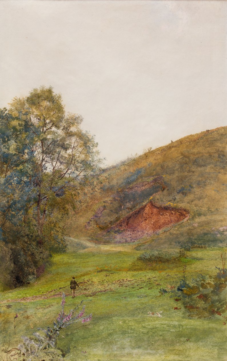 Quantock Hills, noin 1870 (vesiväri paperille). tekijältä John William North