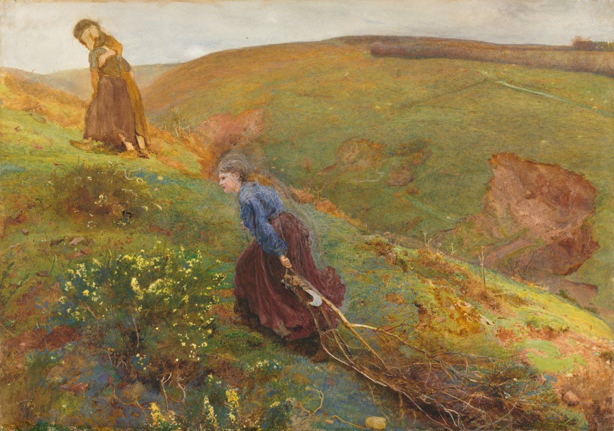 Puunkerääjät tekijältä John William North