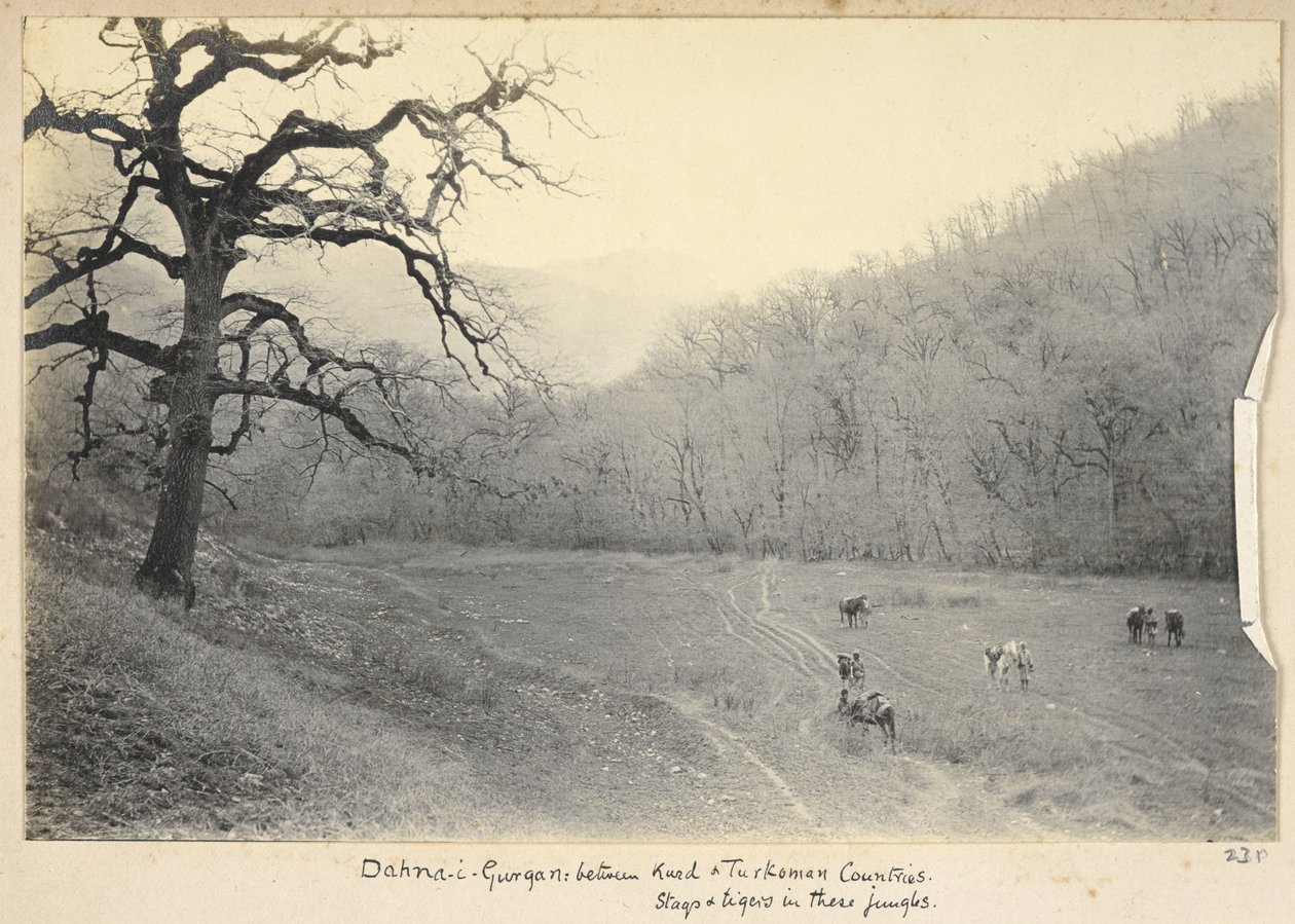 Razavi Khorasanin maakunta, Iran, n. 1908 (b/w kuva) tekijältä John Williams Watson