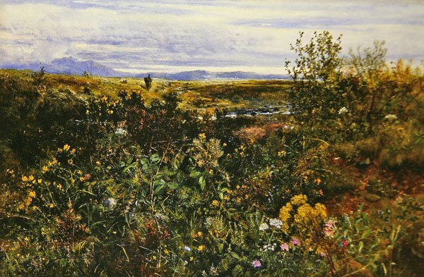 Laaja maisema luonnonkukkia, noin 1855-1860 (öljy kartongille) tekijältä John Wright Oakes