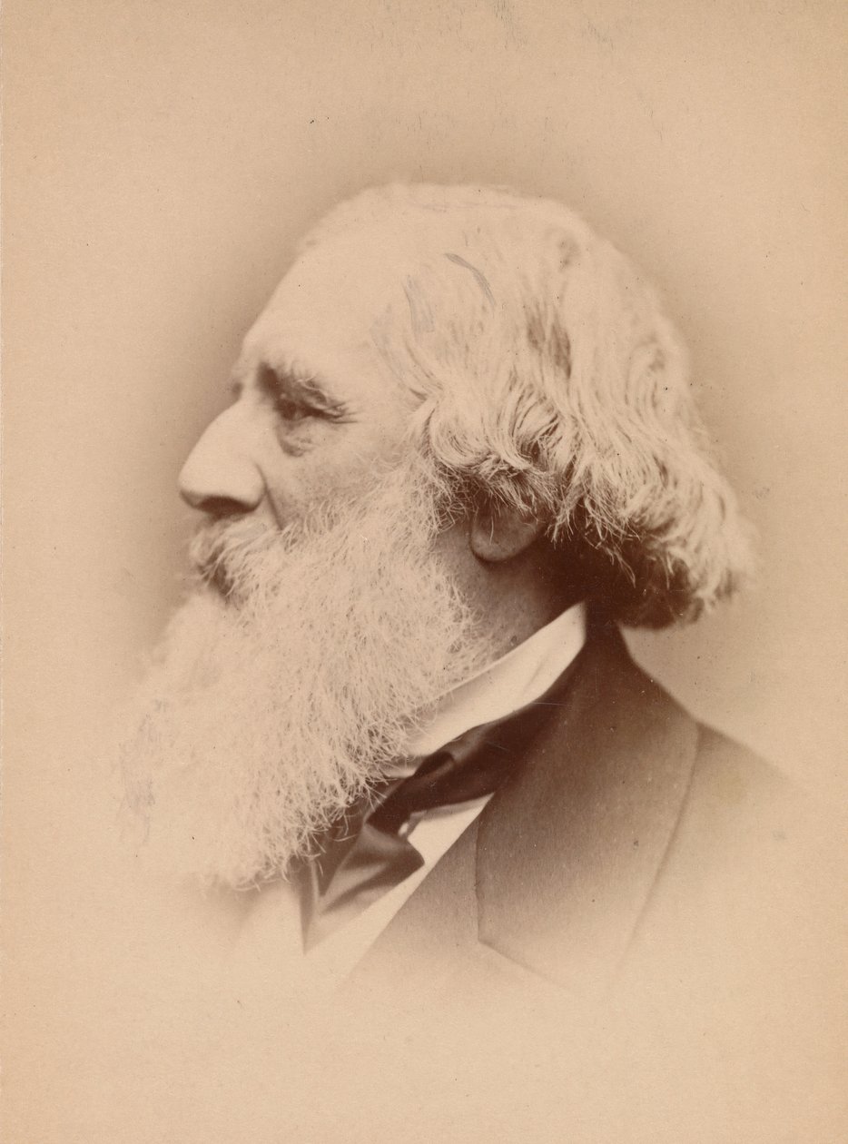 [John Frederick Lewis], 1860-luku. tekijältä John and Charles Watkins