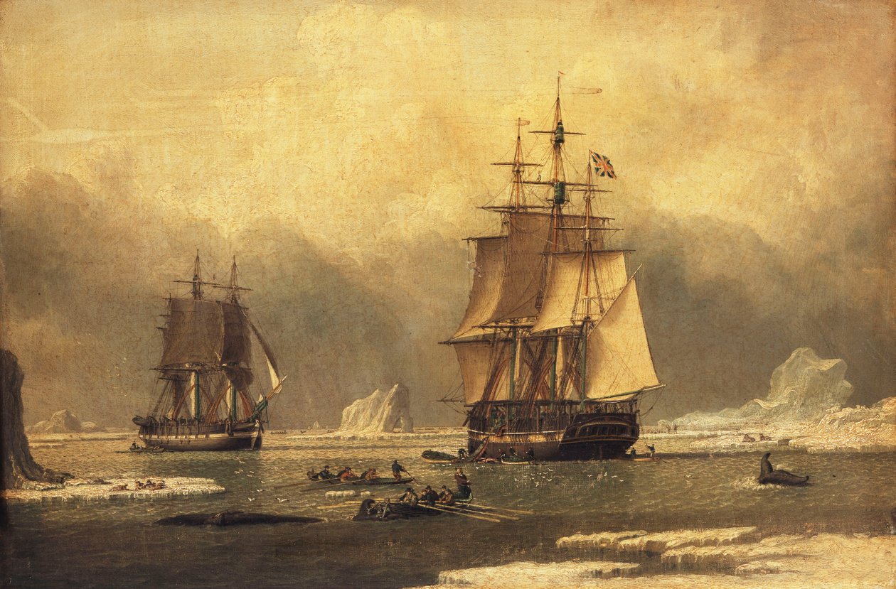 "Joutsen" ja "Isabella" valaanpyynti arktisella alueella, tekijältä John of Hull Ward