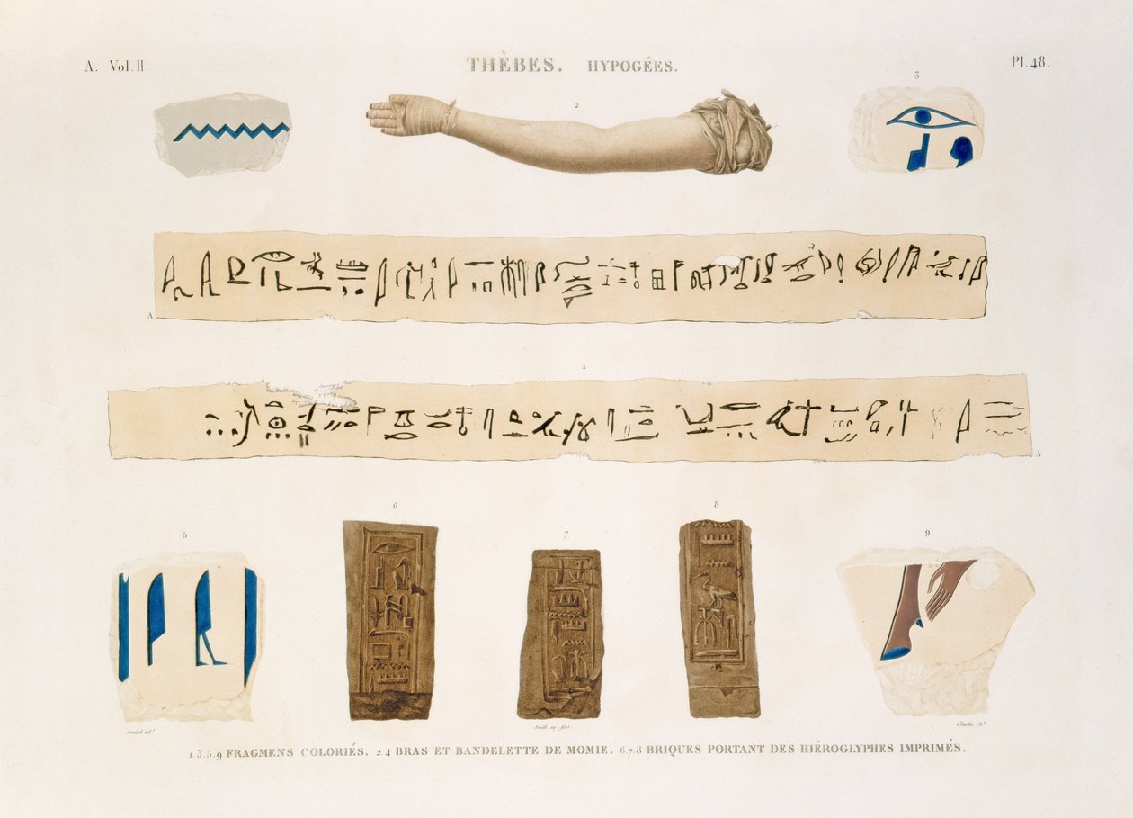 Kuvia hieroglyfikirjoista ja muumion käsivarresta Thebesta, Hypogees, levy 48 julkaisun "Descriptions of Egypt" osasta II, kaiverrettu Charles, 1822 (akvatinta) tekijältä Jomard