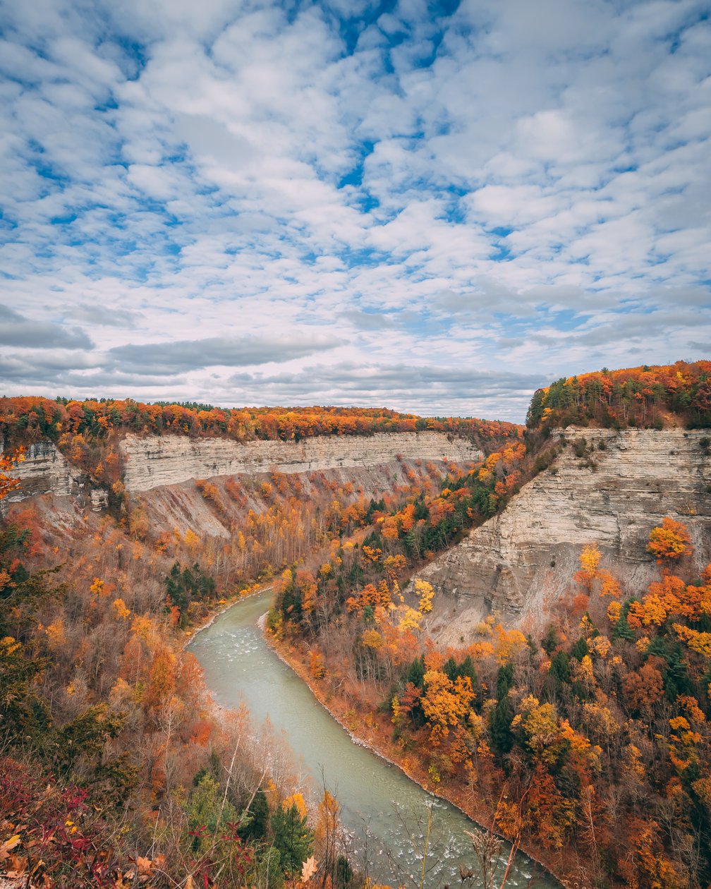 Syksyn värit Letchworth State Parkin rotkossa New Yorkissa, Yhdysvalloissa (kuva). tekijältä Jon Bilous