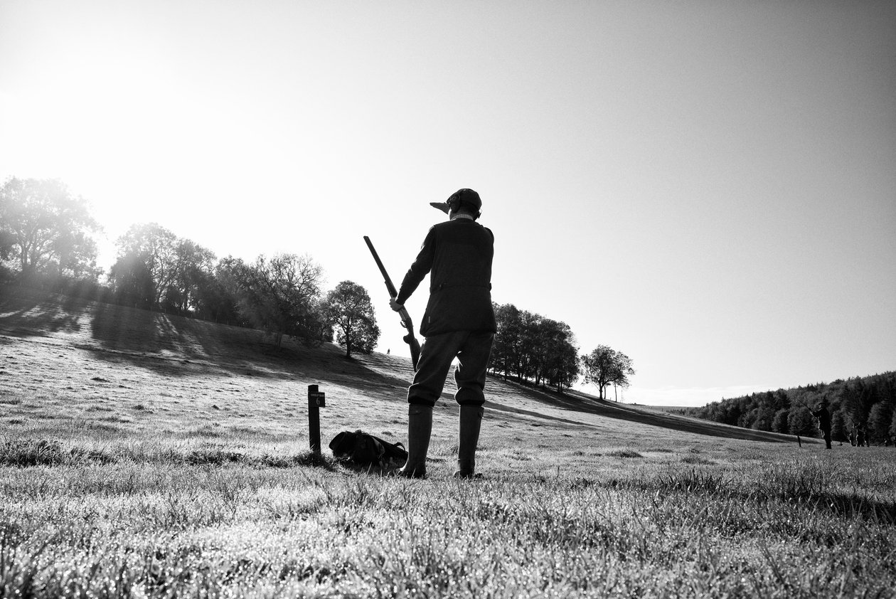 Goodwood Estate West Sussexissa, Iso-Britannia, 2019 (kuva) tekijältä Jon Nicholson