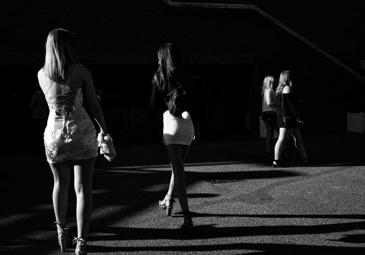 Goodwood Estate West Sussexissa, Iso-Britannia, 2019 (kuva) tekijältä Jon Nicholson