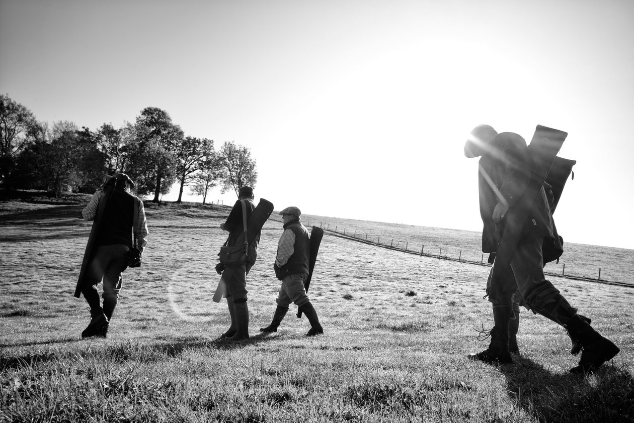 Goodwood Estate West Sussexissa, Iso-Britannia, 2019 (kuva) tekijältä Jon Nicholson