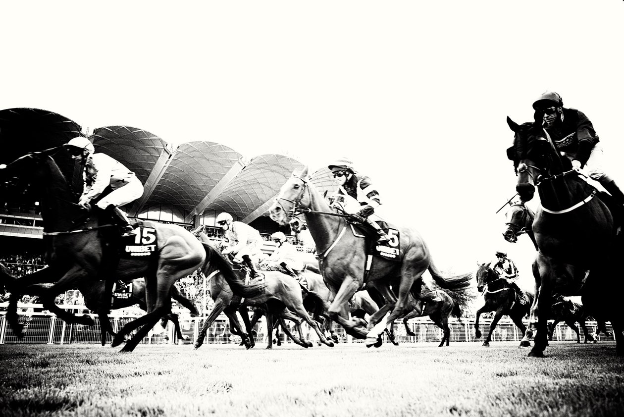 Goodwood Estate West Sussexissa, Iso-Britannia, 2019 (kuva) tekijältä Jon Nicholson