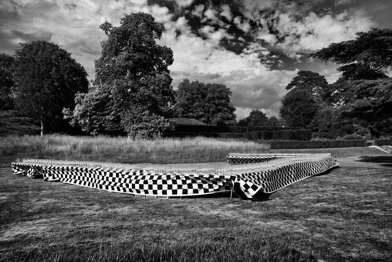 Goodwood Estate West Sussexissa, Iso-Britannia, 2019 (kuva) tekijältä Jon Nicholson