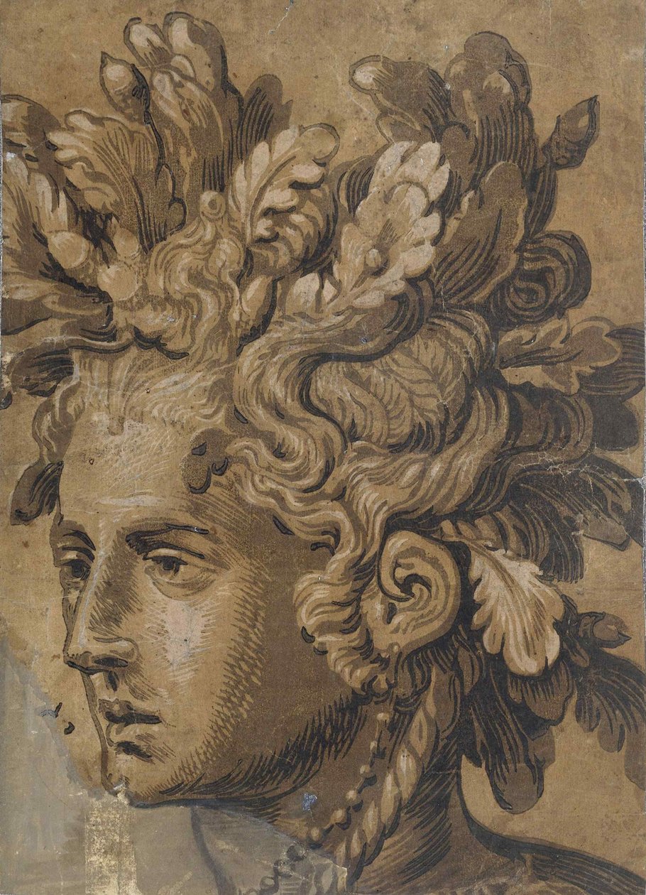Dryad Head jälkeen Frans Floris, noin 1555. tekijältä Joos van Gietleughen