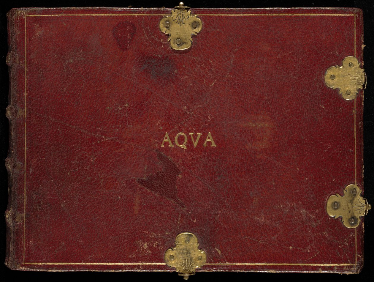 Animalia Aqvatilia et Conchiliata (Aqva), osa III tekijältä Joris Hoefnagel