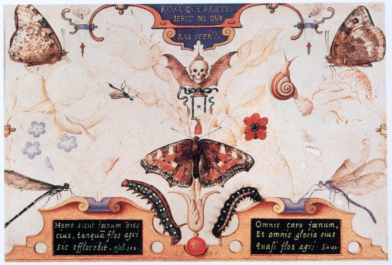 Diptyykki kukilla ja hyönteisillä, 1591. tekijältä Joris Hoefnagel