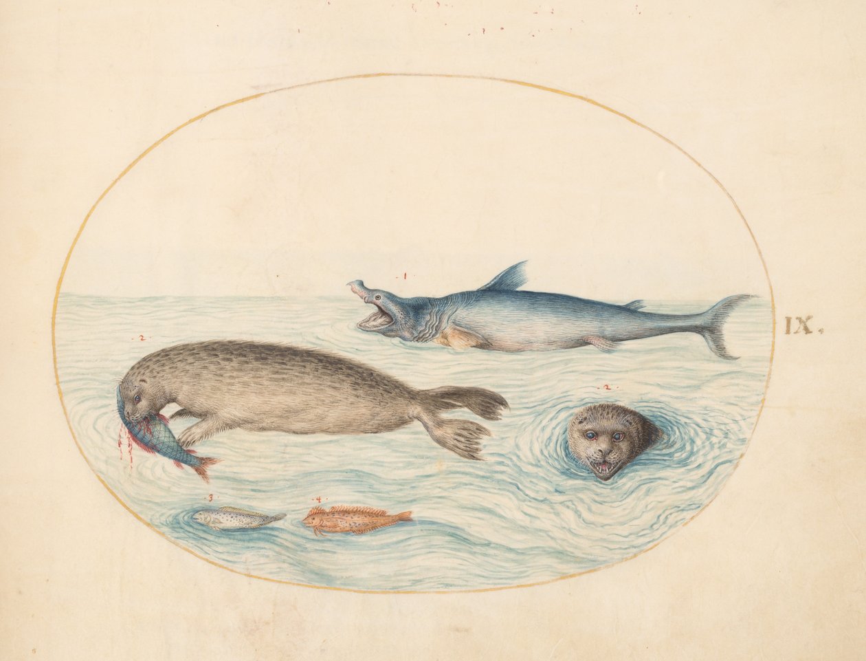 Meren olennot, n. 1575-1580 tekijältä Joris Hoefnagel