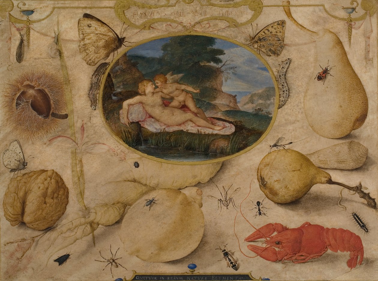 Venus riisumassa aseista Amorin medaljonissa kasvien, hedelmien, hyönteisten ja äyriäisten ympäröimänä, c. 1595 (wc ja vartalon väri) tekijältä Joris Hoefnagel