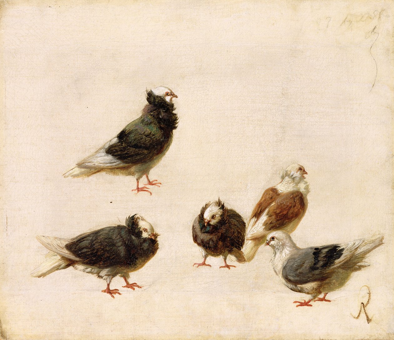 Kyyhkyset, 1888 tekijältä Jose Ruiz Blasco