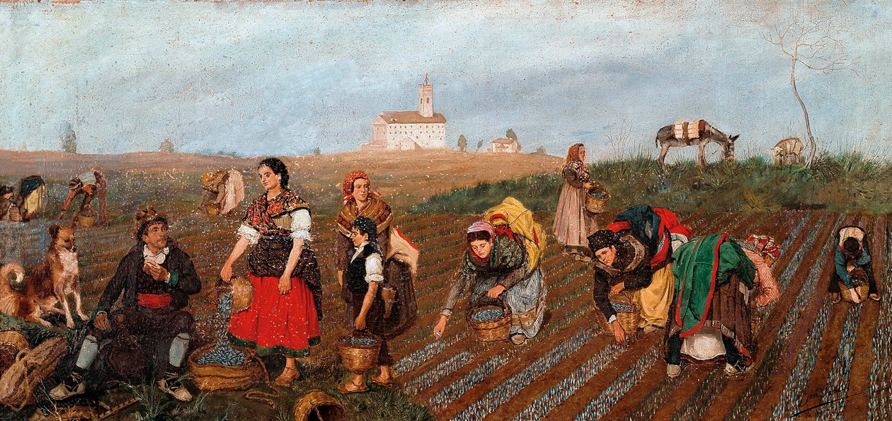 "" The Saffron Collect "" Yksityiskohta. Jose Albinana Brun maalaus (1800-luku). 1877. Valencia. Kuvataidemuseo San Pio V. tekijältä Jose Bru Albinana