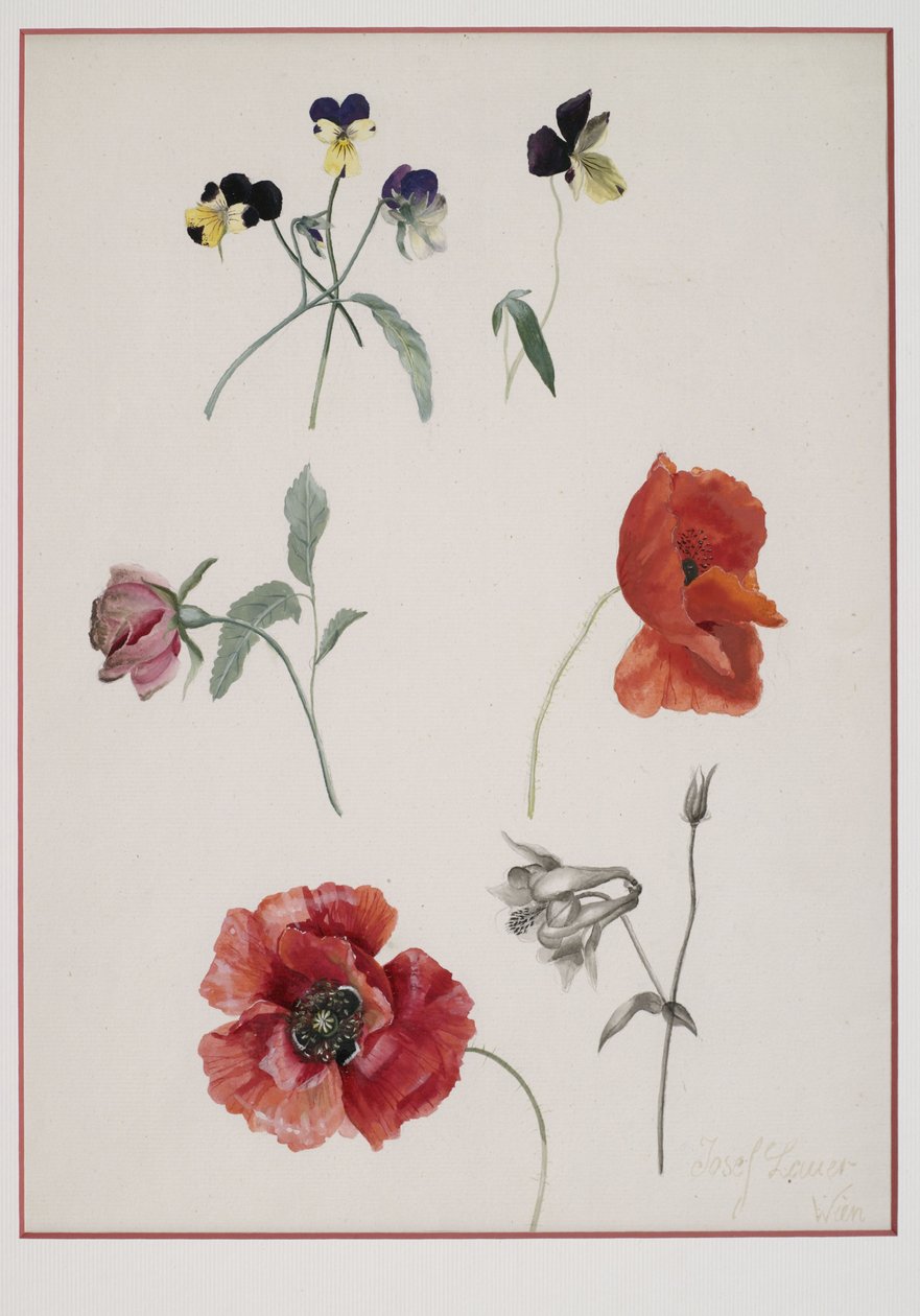 Blumen tekijältä Josef Lauer
