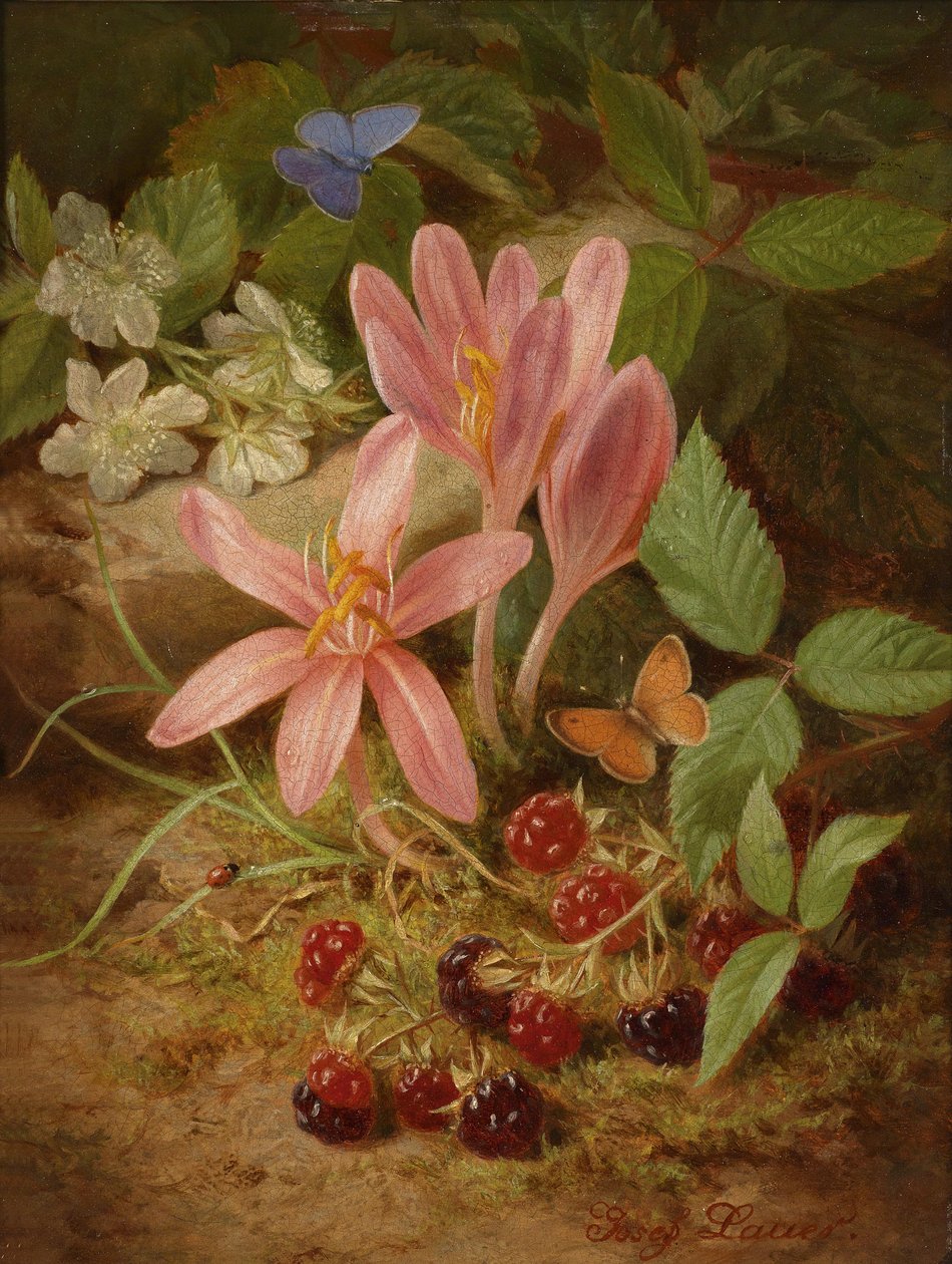 Herbstblume mit Brombeeren tekijältä Josef Lauer