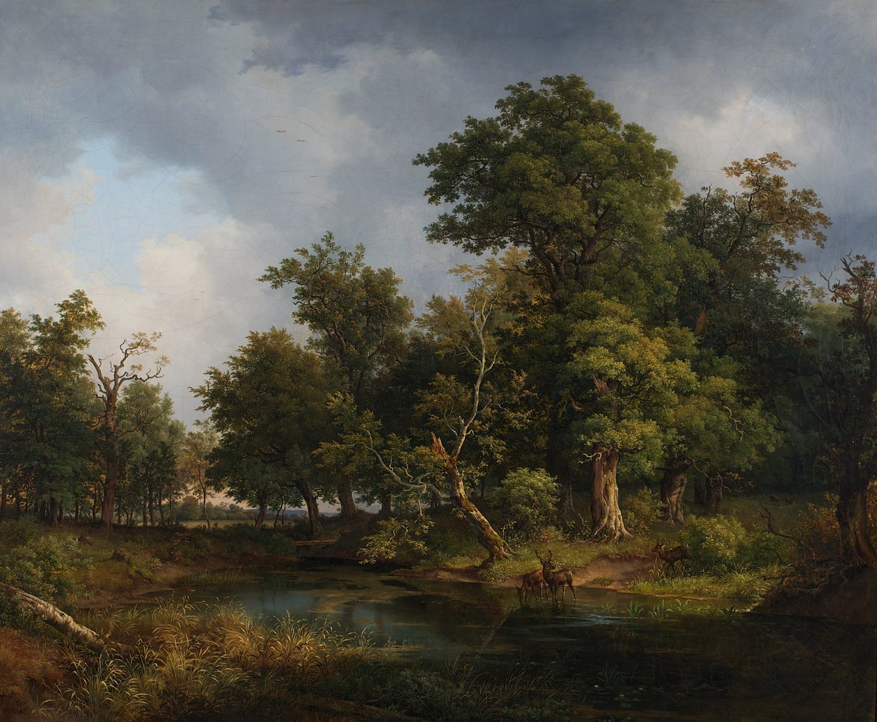 metsäinen maisema tekijältä Josef Feid