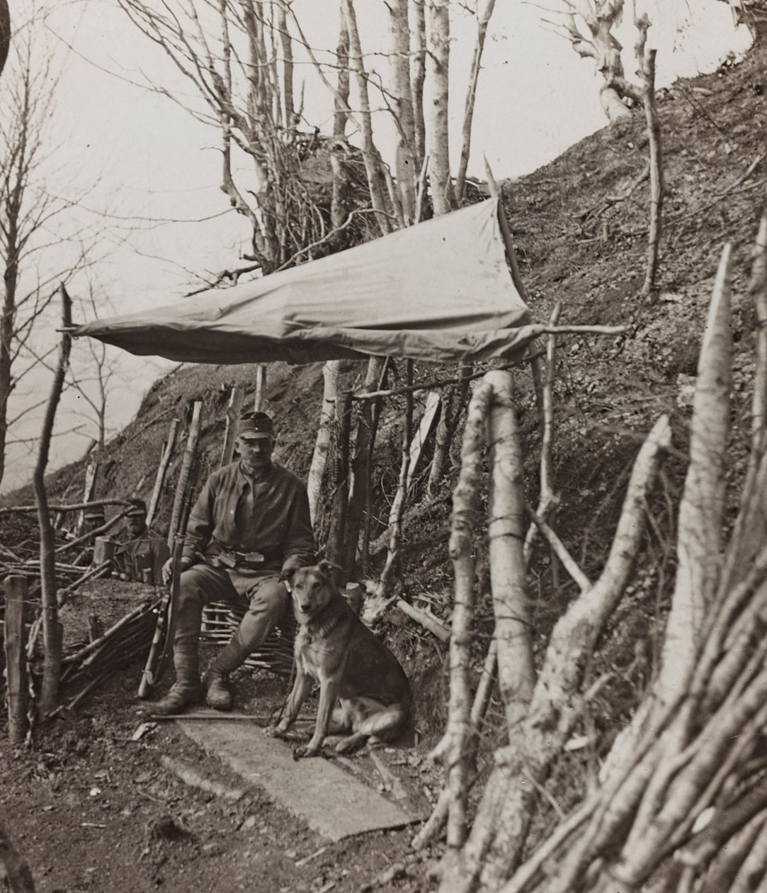 Albumi "Oma maailmansota - muistoja Lounaisrintamasta Kärntenissä, Italiassa, Trentino-Alto Adigessa) 31.03.1915-12.11.1918 - Josef Zohles Wien": sotilaskoira teltan alla ( tekijältä Josef Zohles