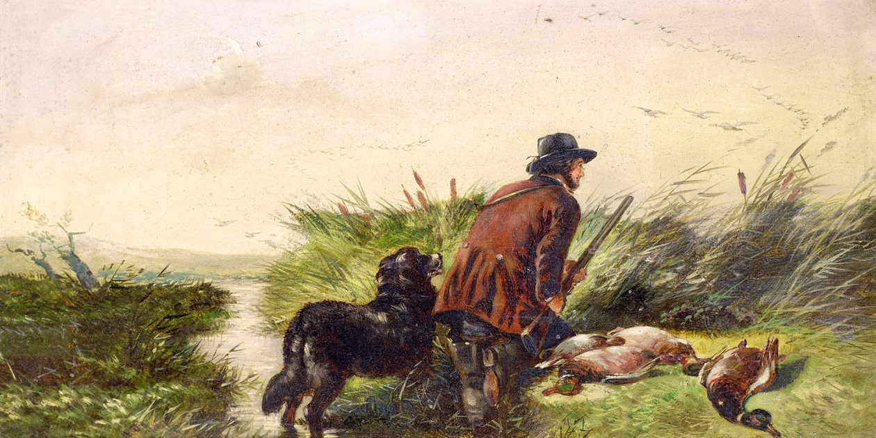 Ankat lentävät Richard Ansdellin (1815-85) maalauksen jälkeen tekijältä Joseph Bensted
